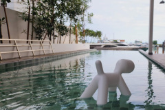 halman aura living pool