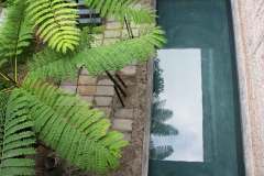 hopea courtyard