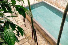 hopea courtyard